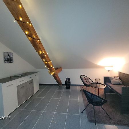 Penthouse N74 Linz 120 Qm Kids Welcome! Exterior photo