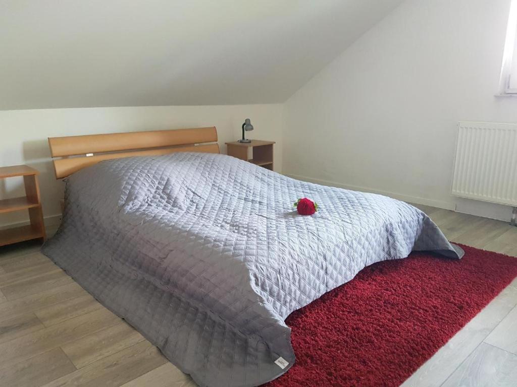 Penthouse N74 Linz 120 Qm Kids Welcome! Exterior photo